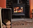 Portable Indoor Fireplace Awesome How to Install Fireplace Doors Stone Danya B Indoor