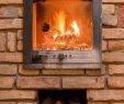 Portable Indoor Fireplace Fresh Burning Fireplace with Wooden Logs and Flame Inside Warm