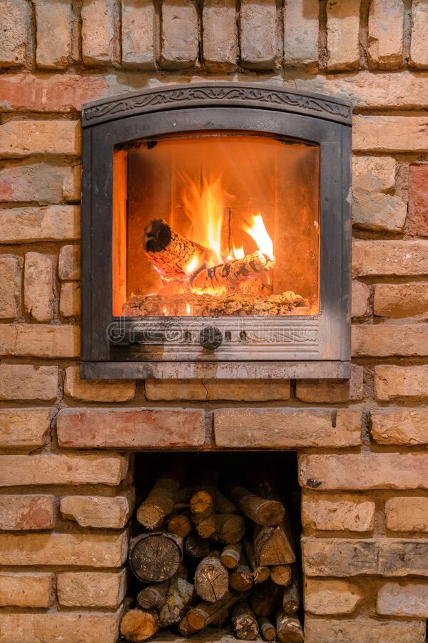 Portable Indoor Fireplace Fresh Burning Fireplace with Wooden Logs and Flame Inside Warm