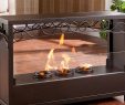 Portable Indoor Fireplace Lovely Ainslie Portable Indoor Outdoor Fireplace