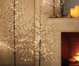 Restoration Hardware Fireplace Screens Fresh Christmas Trees Restoration Hardware I Heart these