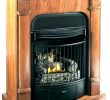 Wood Burning Fireplace Inserts Lowes Awesome Free Standing Gas Fireplaces Valor Traditional Freestanding