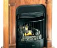 Wood Burning Fireplace Inserts Lowes Awesome Free Standing Gas Fireplaces Valor Traditional Freestanding