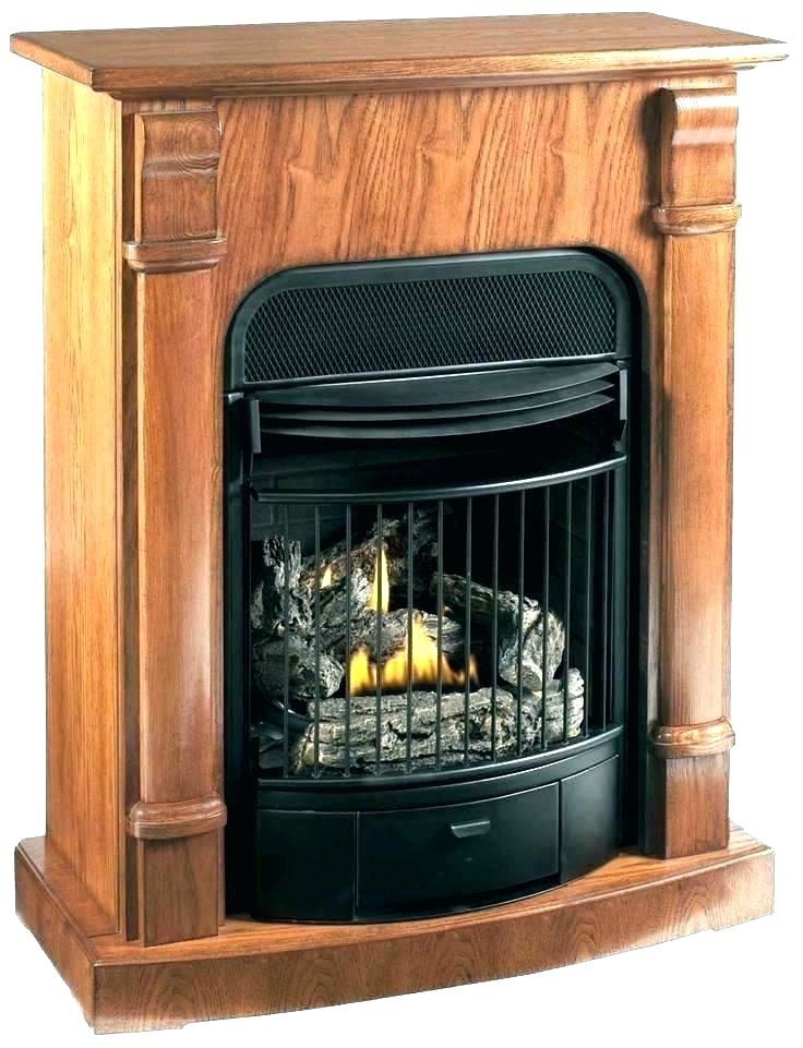 Wood Burning Fireplace Inserts Lowes Awesome Free Standing Gas Fireplaces Valor Traditional Freestanding
