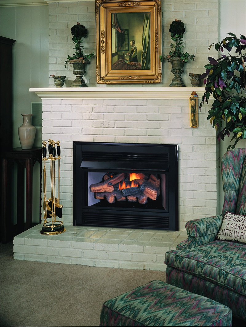 Wood Burning Fireplace Inserts Lowes Beautiful Gas Log Gas Log Fireplace Insert with Blower