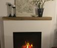 Wood Burning Fireplace Inserts Lowes Fresh Napoleon ascent Electric Firebox Insert with Led 9000 Btu