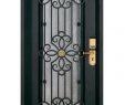 Wrought Iron Fireplace Door Best Of [hot Item] Chinese Iron Art Steel Door Security Door Gate Grill Design Wrought Iron Front Doors