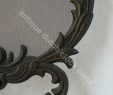 Antiqued Brass Fireplace Screen Inspirational Antique Brass Baroque Fireplace Screen with Dragons