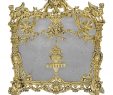 Antiqued Brass Fireplace Screen Inspirational Antique Brass Fire Screen