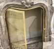 Antiqued Brass Fireplace Screen Luxury Mantel Marble Fireplace with Brass Flap Xix¨me Ancient