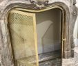 Antiqued Brass Fireplace Screen Luxury Mantel Marble Fireplace with Brass Flap Xix¨me Ancient