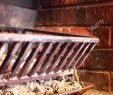Fireplace Grate with Blower Fresh Fireplace A Cast Iron Grate and Coal Tray In A Brick Lined