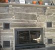 Fireplace Grate with Blower Inspirational Antijenic Drift Project Fireplace Doors