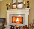 Fireplace Grate with Blower Inspirational Marble Looking Granite Living Room Traditional with Chinese