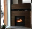 Fireplace Grate with Blower Inspirational the Z Max Efficient Wood Burning Fireplace