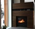 Fireplace Grate with Blower Inspirational the Z Max Efficient Wood Burning Fireplace