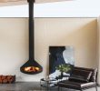 Wall Mounted Natural Gas Fireplace Awesome Paxfocus by Focus Fires