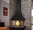 Wall Mounted Natural Gas Fireplace Beautiful A Free Standing Fireplace for Your Living Room