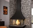 Wall Mounted Natural Gas Fireplace Beautiful A Free Standing Fireplace for Your Living Room