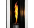 Wall Mounted Natural Gas Fireplace Best Of Napoleon Gt8sb