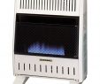 Wall Mounted Natural Gas Fireplace Elegant Convection Wall Mounted Heater