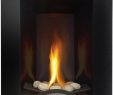 Wall Mounted Natural Gas Fireplace Fresh Napoleon Gd191nsb