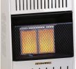 Wall Mounted Natural Gas Fireplace Fresh Pro Heating Inc Mn060hpa 6 000 Btu Natural Gas Infrared Wall Heater White