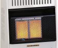 Wall Mounted Natural Gas Fireplace Fresh Pro Heating Inc Mn060hpa 6 000 Btu Natural Gas Infrared Wall Heater White
