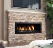Wall Mounted Natural Gas Fireplace Fresh Regency Hz40e Contemporary Gas Fireplace with Images