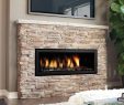 Wall Mounted Natural Gas Fireplace Fresh Regency Hz40e Contemporary Gas Fireplace with Images