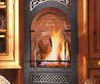 Wall Mounted Natural Gas Fireplace Lovely Small Wall Mounted Gas Fireplace Great for Bedrooms & Baths