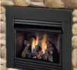 Wall Mounted Natural Gas Fireplace Luxury Recreational Warehouse Ventless Logs Ventless Fireplaces