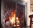 Wayfair Fireplace Screen Elegant Plow & Hearth Fireplace Screens E In Many Styles Screens